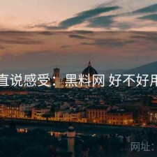 直说感受：黑料网 好不好用