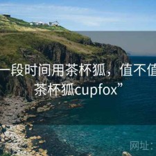 最近一段时间用茶杯狐，值不值，“茶杯狐cupfox”