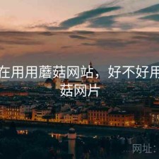 最近在用用蘑菇网站，好不好用，蘑菇网片