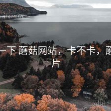 体验一下 蘑菇网站，卡不卡，蘑菇网片