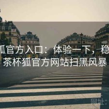 茶杯狐官方入口：体验一下，稳不稳，茶杯狐官方网站扫黑风暴