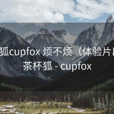茶杯狐cupfox 烦不烦（体验片段），茶杯狐 - cupfox