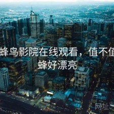 碎念 蜂鸟影院在线观看，值不值，碎蜂好漂亮