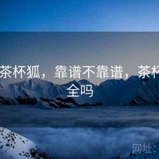 短评 茶杯狐，靠谱不靠谱，茶杯狐安全吗