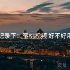 记录下：蜜桃视频 好不好用