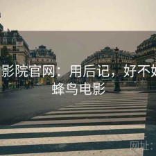 蜂鸟影院官网：用后记，好不好用，蜂鸟电影