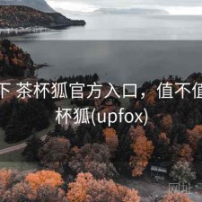 记录下 茶杯狐官方入口，值不值，茶杯狐(upfox)