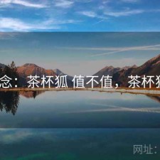碎念：茶杯狐 值不值，茶杯狐a