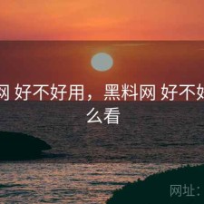 黑料网 好不好用，黑料网 好不好用怎么看