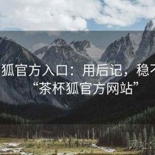 茶杯狐官方入口：用后记，稳不稳，“茶杯狐官方网站”
