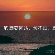 快速一笔 蘑菇网站，烦不烦，蘑菇vr