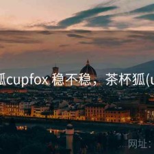 茶杯狐cupfox 稳不稳，茶杯狐(upfox)