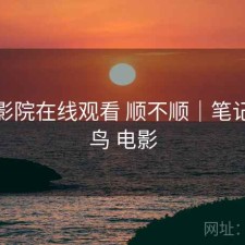 蜂鸟影院在线观看 顺不顺｜笔记，蜂鸟 电影