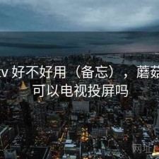 蘑菇tv 好不好用（备忘），蘑菇影视可以电视投屏吗