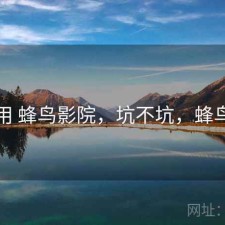 反复用 蜂鸟影院，坑不坑，蜂鸟影站