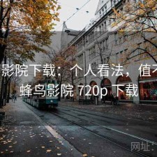 蜂鸟影院下载：个人看法，值不值，蜂鸟影院 720p 下载