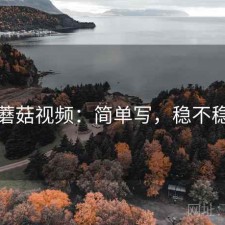 蘑菇视频：简单写，稳不稳
