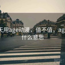 这两天用age动漫，值不值，age动漫什么意思