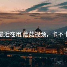 最近在用 蘑菇视频，卡不卡