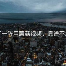 用了一阵用蘑菇视频，靠谱不靠谱