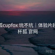 茶杯狐cupfox 坑不坑｜体验片段，茶杯狐 官网