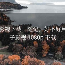 柚子影视下载：随记，好不好用，柚子影视 1080p 下载