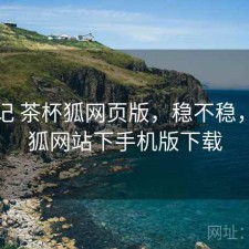 用后记 茶杯狐网页版，稳不稳，茶杯狐网站下手机版下载