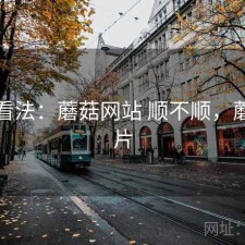 个人看法：蘑菇网站 顺不顺，蘑菇网片