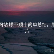 蘑菇网站 顺不顺｜简单总结，蘑菇网片