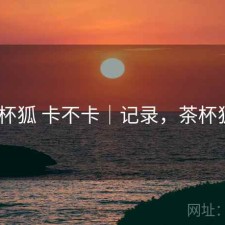 茶杯狐 卡不卡｜记录，茶杯狐0