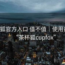 茶杯狐官方入口 值不值｜使用备注，“茶杯狐cupfox”