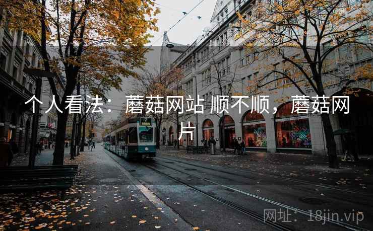 个人看法：蘑菇网站 顺不顺，蘑菇网片  第1张