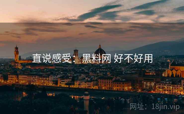 直说感受：黑料网 好不好用  第1张